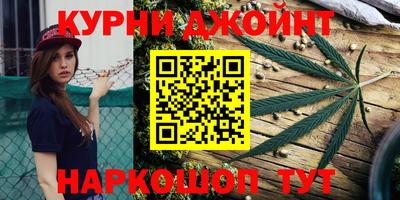 гашик Аргун