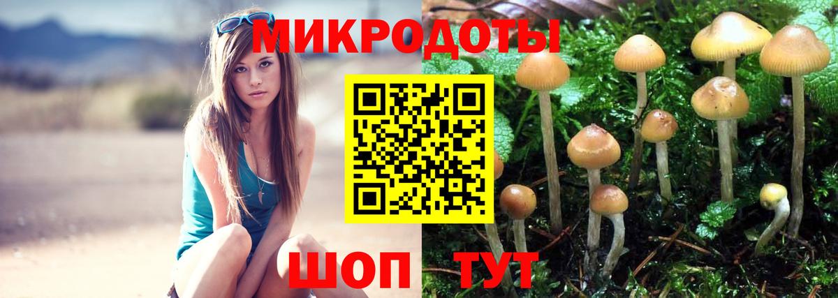 Псилоцибиновые грибы Psilocybine cubensis  Вход с VPN  Волгодонск 